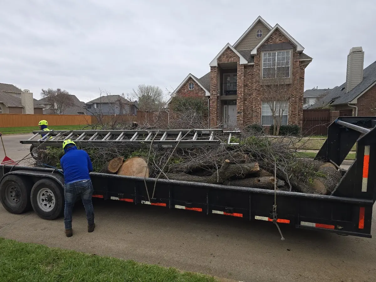 Expert Tree Removal with proper safety equipment in Burnt Cabins